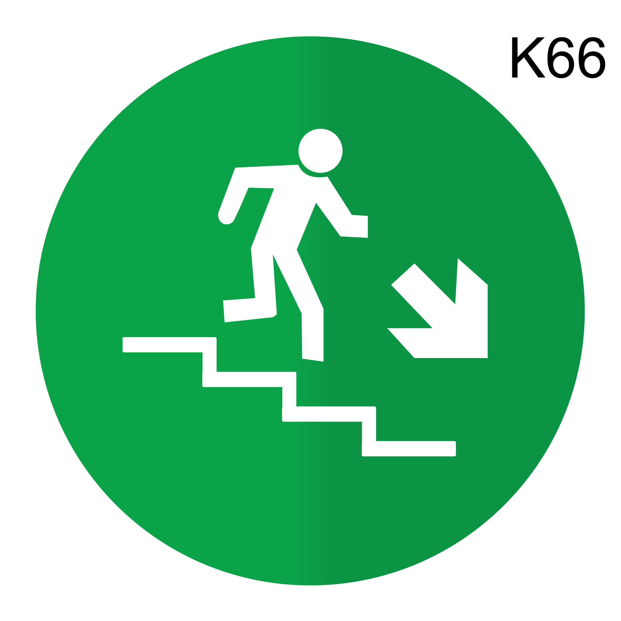 K 66