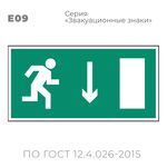 Табличка E09 (10х20 см) «Указатель двери эвакуационного выхода (правосторонний)»
Пластиковая табличка-указатель с изображением «Человечек, бегущий направо к отрытой двери в направлении стрелки вниз». Изображение выполнено белым цветом на зеленом фоне с белой рамкой по контуру.